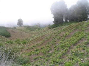 IMG_4170_thumb.jpg 12.5K