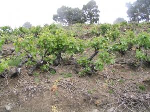 IMG_4171_thumb.jpg 18.7K