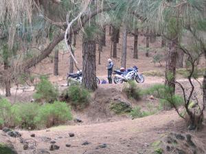 IMG_4190_thumb.jpg 17.6K