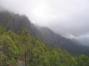 IMG_4194_thumb.jpg 8.1K