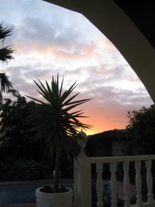 IMG_4322_thumb.jpg 10.6K