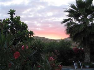 IMG_4327_thumb.jpg 13.0K