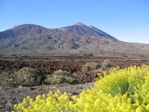 IMG_4355_thumb.jpg 16.2K