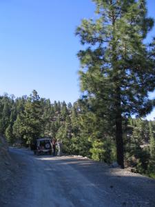 IMG_4448_thumb.jpg 13.9K