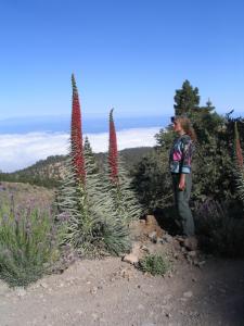 IMG_4450_thumb.jpg 12.5K