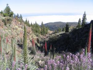 IMG_4455_thumb.jpg 17.0K