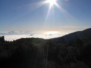 IMG_4461_thumb.jpg 6.4K