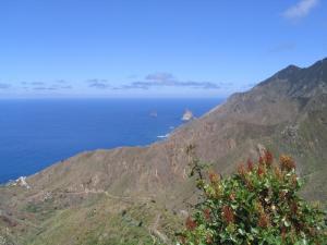 IMG_4464_thumb.jpg 10.4K