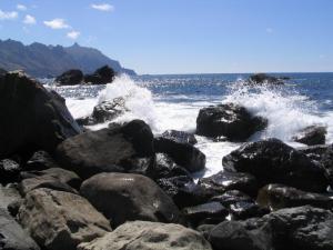 IMG_4470_thumb.jpg 13.4K