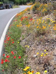 IMG_4516_thumb.jpg 23.7K