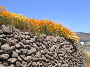 IMG_4520_thumb.jpg 19.3K