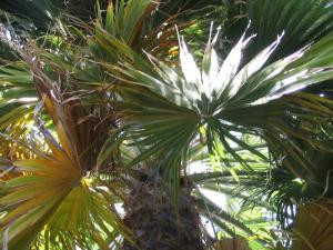 IMG_4530_thumb.jpg 19.9K