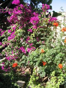 IMG_4531_thumb.jpg 28.2K