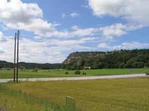 IMG_0524_thumb.jpg 10.9K