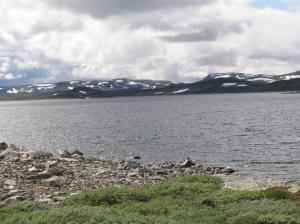 IMG_0568_thumb.jpg 13.0K