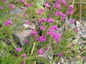 IMG_0675_thumb.jpg 23.5K