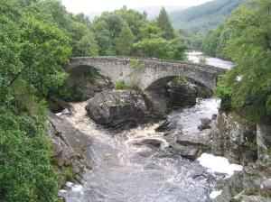 IMG_0739_thumb.jpg 18.6K