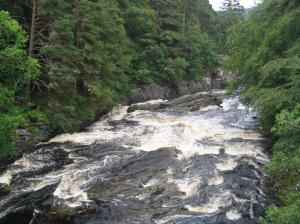 IMG_0743_thumb.jpg 17.7K