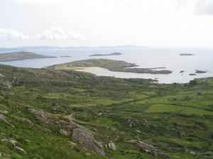 IMG_0804_thumb.jpg 10.3K