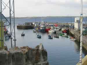 IMG_0811_thumb.jpg 12.4K