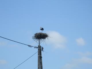 DSCF6011_thumb.jpg 4.5K