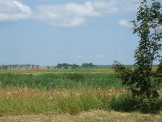 DSCF6013_thumb.jpg 13.1K