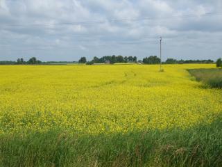 DSCF6016_thumb.jpg 13.5K