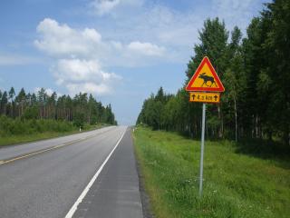 DSCF6039_thumb.jpg 12.1K