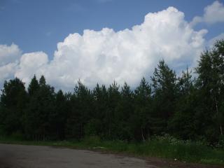 DSCF6043_thumb.jpg 9.7K