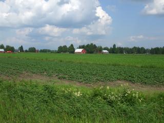 DSCF6045_thumb.jpg 14.2K