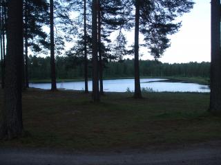 DSCF6062_thumb.jpg 15.2K