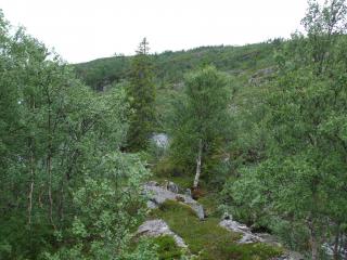 DSCF6083_thumb.jpg 17.4K