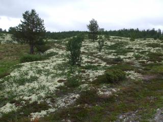 DSCF6092_thumb.jpg 17.2K