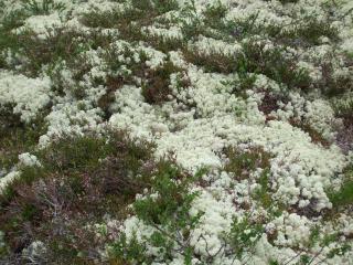 DSCF6093_thumb.jpg 25.3K