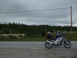 DSCF6094_thumb.jpg 11.2K