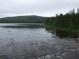 DSCF6097_thumb.jpg 10.6K