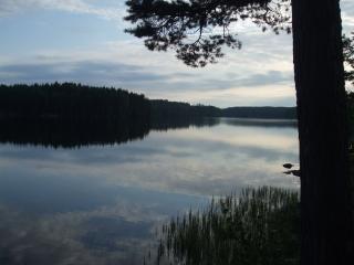 DSCF6106_thumb.jpg 10.5K