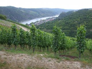 DSCF6110_thumb.jpg 16.2K