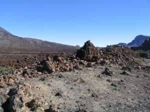 100_0076_thumb.jpg 15.0K