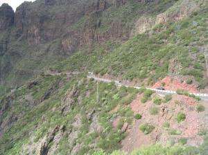 100_0092_thumb.jpg 16.0K