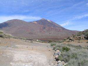 101_0116_thumb.jpg 11.0K