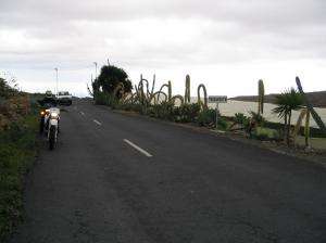 101_0145_thumb.jpg 7.8K