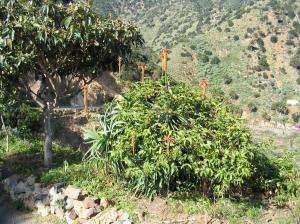 101_0162_thumb.jpg 25.4K