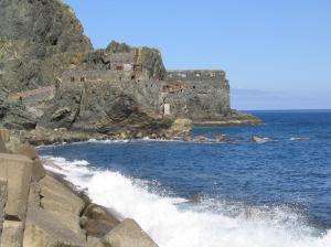 101_0170_thumb.jpg 12.6K