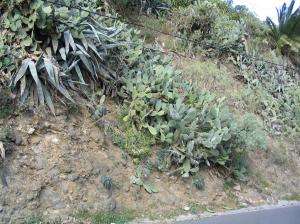 101_0180_thumb.jpg 21.6K