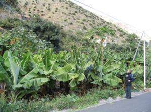 101_0188_thumb.jpg 19.9K