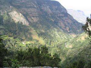 101_0193_thumb.jpg 15.3K