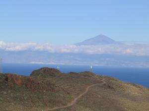 102_0205_thumb.jpg 6.7K