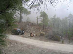 IMG_0955_thumb.jpg 11.5K