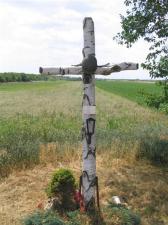 IMG_8009_thumb.jpg 9.1K